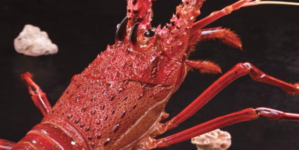 金海灣漁港 Golden Bay Seafood Harbor - Best Food Today